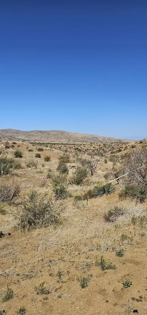 98 Th St E, Juniper Hills, CA 93543 photo 4