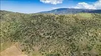 26929 Trotter Dr, Tehachapi, CA 93561 photo 49