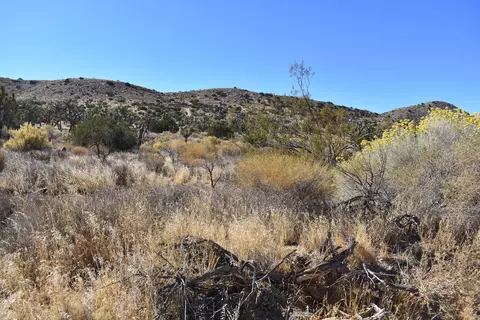 8100 Weber Ranch Rd, Palmdale, CA 93550 photo 2