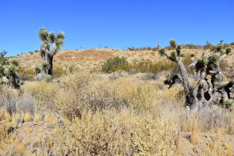 8100 Weber Ranch Rd, Palmdale, CA 93550 photo 5