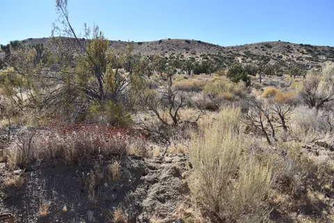 8100 Weber Ranch Rd, Palmdale, CA 93550 photo 4