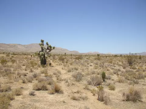 120 Trotter St NW, Rosamond, CA 93560