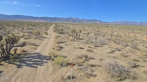 22000 Avenue X E, Llano, CA 93544 photo 5
