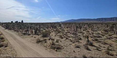22000 Avenue X E, Llano, CA 93544 photo 6