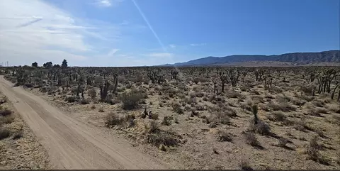 22000 Avenue X E, Llano, CA 93544