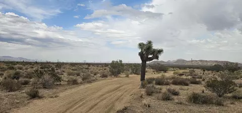 116 Th W, Rosamond, CA 93560 photo 4