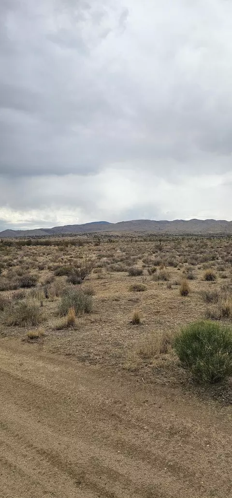 116 Th W, Rosamond, CA 93560 photo 5