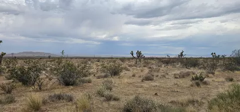 116 Th W, Rosamond, CA 93560 photo 3