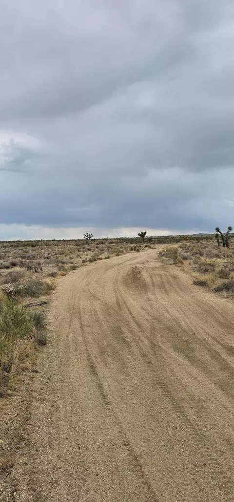 116 Th W, Rosamond, CA 93560 photo 6