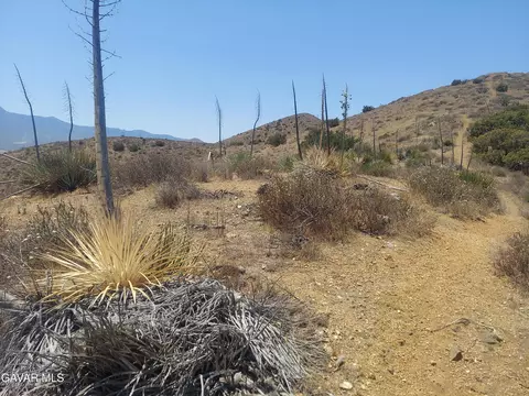 1 Governor Mine Road Rd, Acton, CA 93510 photo 15
