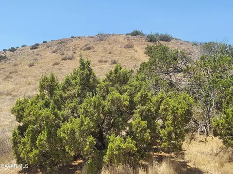 1 Governor Mine Road Rd, Acton, CA 93510 photo 28