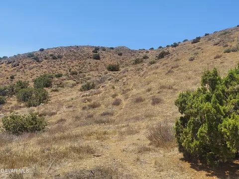 1 Governor Mine Road Rd, Acton, CA 93510 photo 29