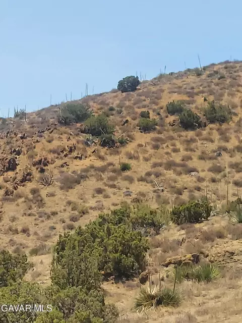 1 Governor Mine Road Rd, Acton, CA 93510 photo 22