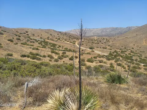 1 Governor Mine Road Rd, Acton, CA 93510 photo 12