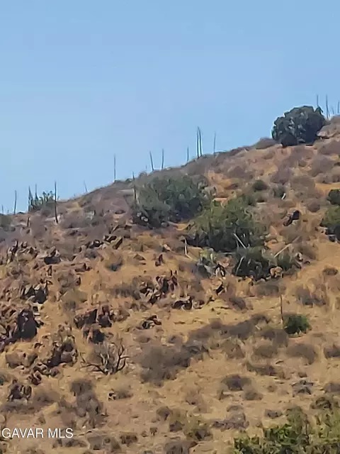 1 Governor Mine Road Rd, Acton, CA 93510 photo 21