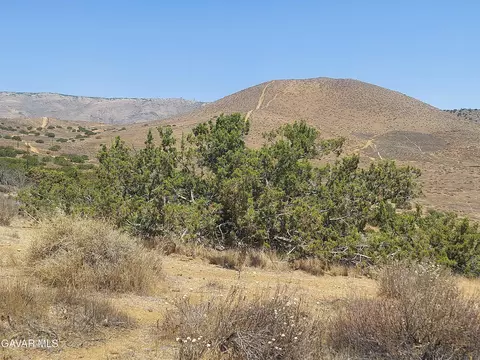 1 Governor Mine Road Rd, Acton, CA 93510 photo 26