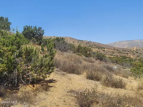 1 Governor Mine Road Rd, Acton, CA 93510 photo 27