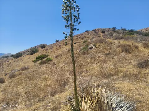 1 Governor Mine Road Rd, Acton, CA 93510 photo 7