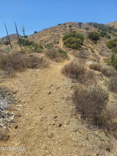 1 Governor Mine Road Rd, Acton, CA 93510 photo 20
