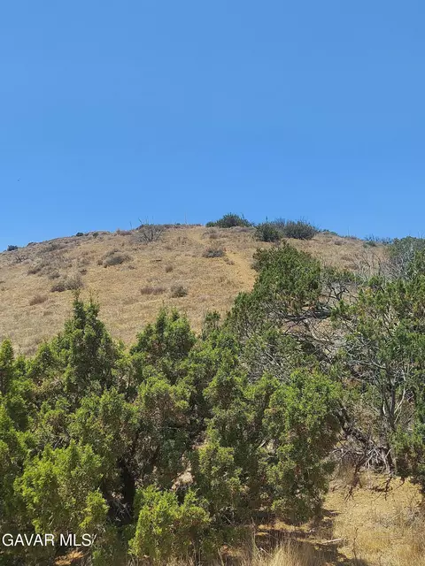 1 Governor Mine Road Rd, Acton, CA 93510 photo 23