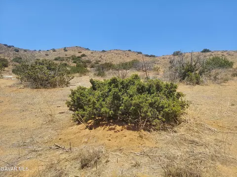1 Governor Mine Road Rd, Acton, CA 93510 photo 32