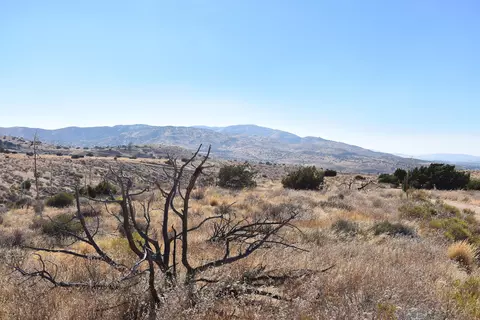 Carson View Ln, Palmdale, CA 93550 photo 29