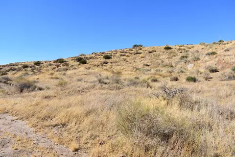 Carson View Ln, Palmdale, CA 93550 photo 24