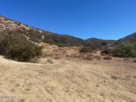 Hawk Dr Vic Walkatop, Lake Elizabeth, CA 93532