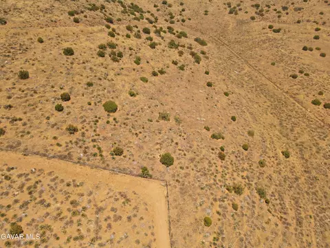 Valleysage Road, Agua Dulce, CA 91390 photo 5