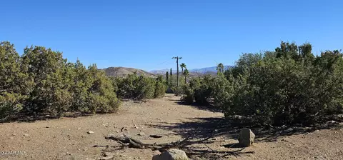 Shannondale Road, Acton, CA 93510 photo 2