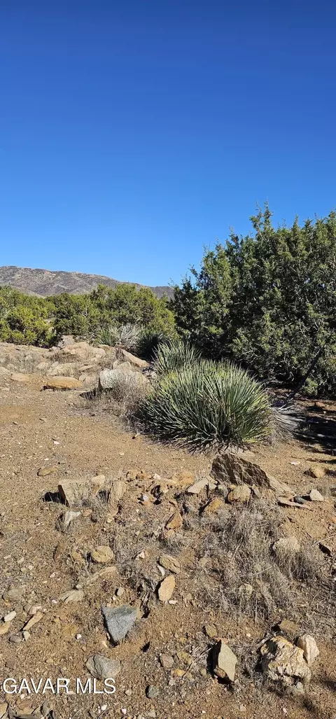 Shannondale Road, Acton, CA 93510 photo 5