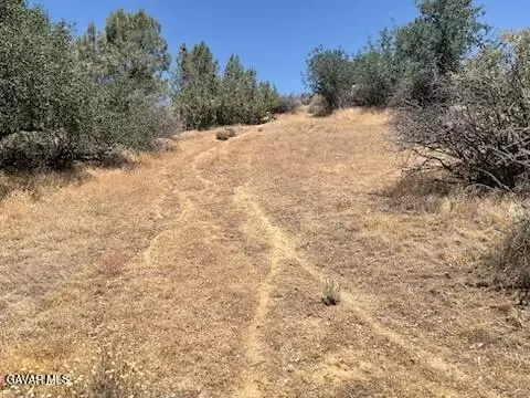 Rancharia Creek Road, Caliente, CA 93518