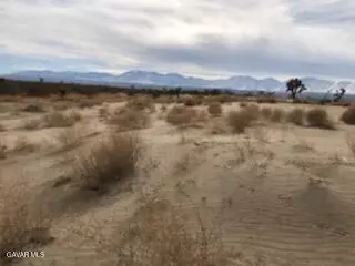 5 Mi S Of Carson Mesa Vi, Palmdale, CA 93550 photo 3