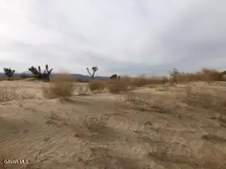 5 Mi S Of Carson Mesa Vi, Palmdale, CA 93550 photo 4