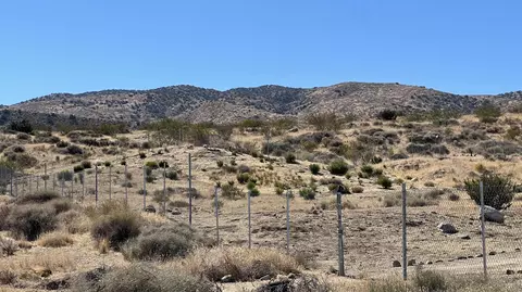 Mt Emma Rd & 73rd St E, Palmdale, CA 93550