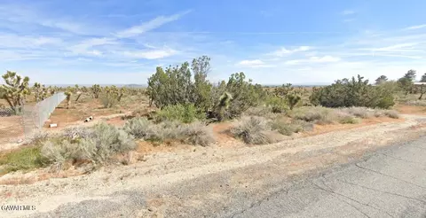 21200 Fort Tejon Rd, Llano, CA 93544 photo 4