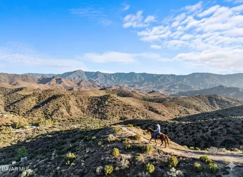 32901 Hawley Rd, Acton, CA 93510