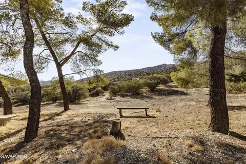 32901 Hawley Rd, Acton, CA 93510 photo 50