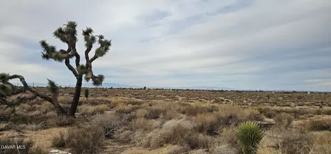 Avenue L4 / 23rd St E, Palmdale, CA 93550