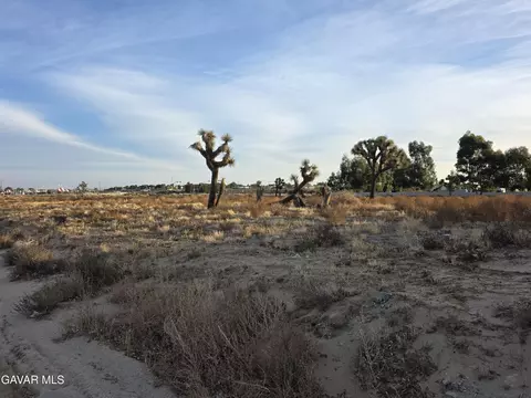 42652 W 15th St, Lancaster, CA 93534 photo 15