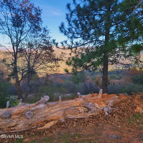 528 Mojave River Rd, Crestline, CA 92325 photo 2