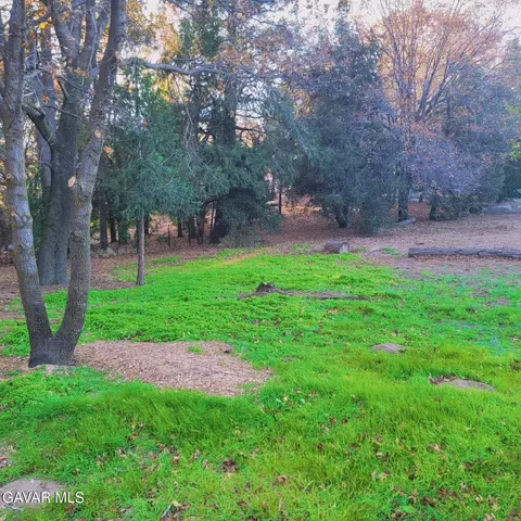 528 Mojave River Rd, Crestline, CA 92325 photo 9