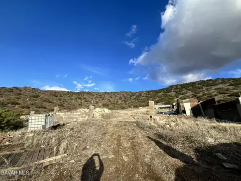 Tuckerway Ranch Rd Road, Acton, CA 93510 photo 3