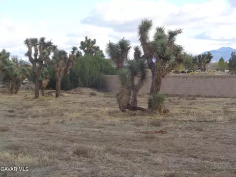 40 Th Ste Ave S12 St E, Palmdale, CA 93550 photo 12