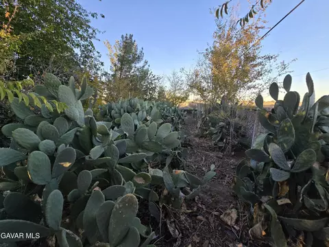Exterior - 44005 90th St E, Lancaster, CA 93535 photo 37 of 67