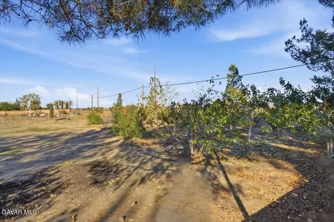 Exterior - 44005 90th St E, Lancaster, CA 93535 photo 38 of 67