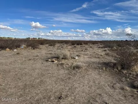 cor 166th STE DRT, Lancaster, CA 93535 photo 3