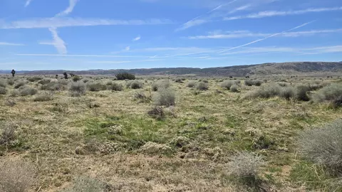 Ave E, Fairmont, CA 93536 photo 5