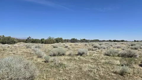 Ave E, Fairmont, CA 93536 photo 20