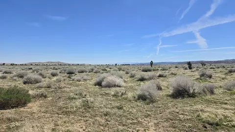 Ave E, Fairmont, CA 93536 photo 23